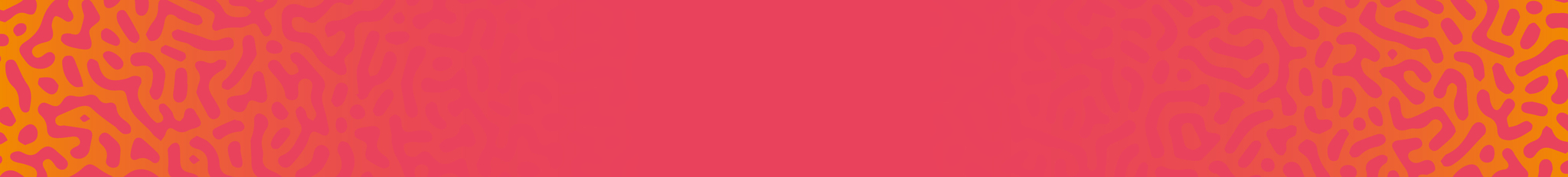 2026 PROGRAMME header