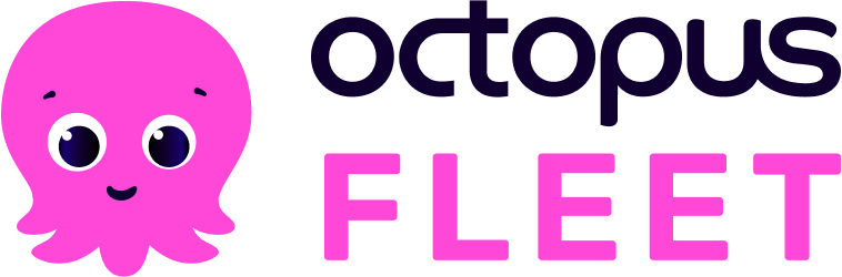 Octopus Energy - Gold sponsors of Sustainable Fleet of the Year