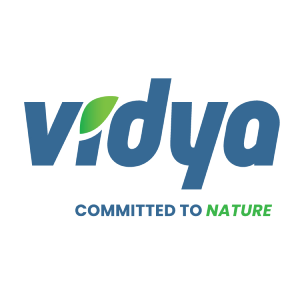 Vidya