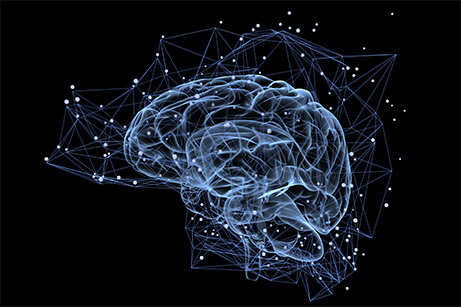 Togetherness keeps the reptilian brain calm