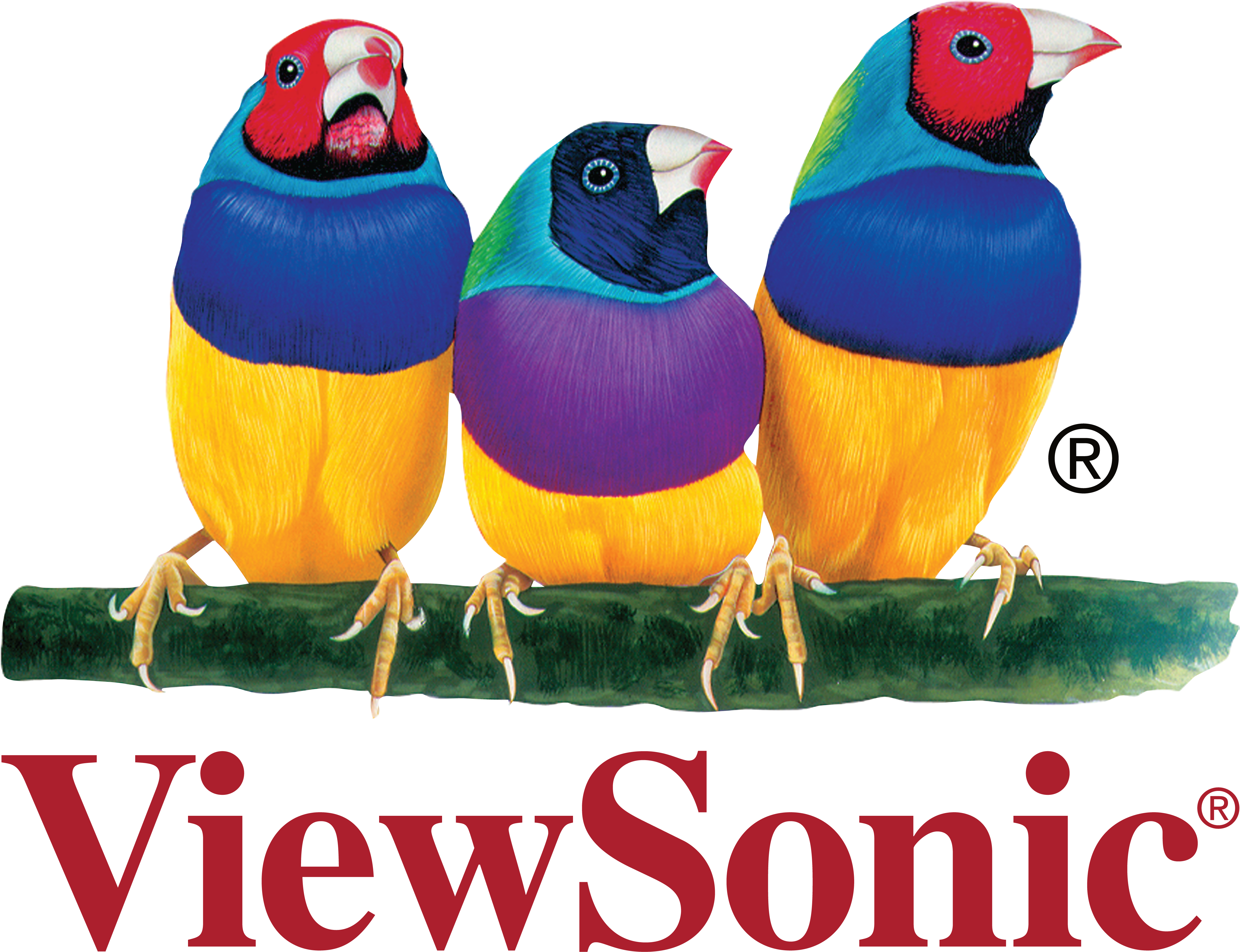 ViewSonic