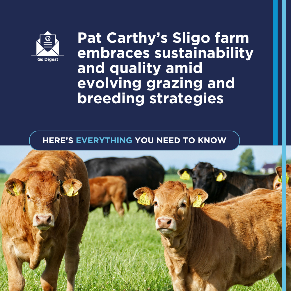 Pat Carthy’s Sligo farm embraces sustainability and quality amid evolving grazing and breeding strategies