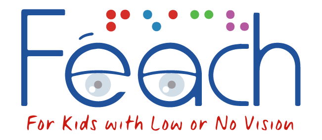 Féach Vision Support Services