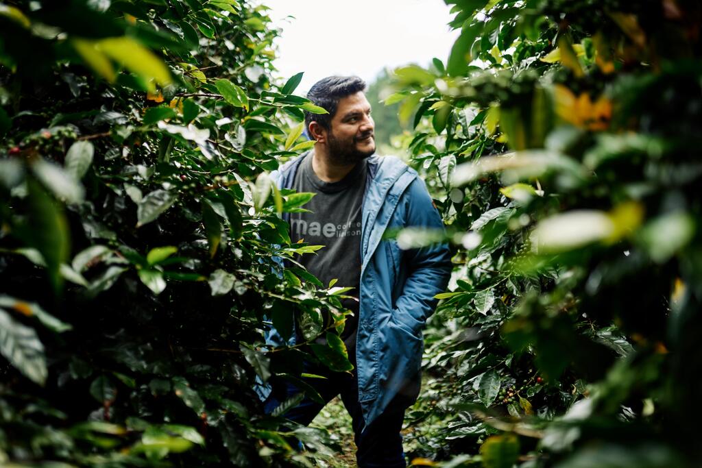 Daniel Sanchez, MAE Coffee Liaison