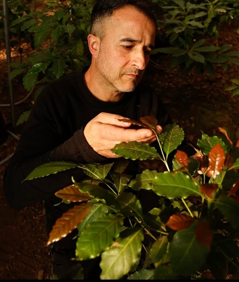 Joan Giráldez, Finca Castellvilar