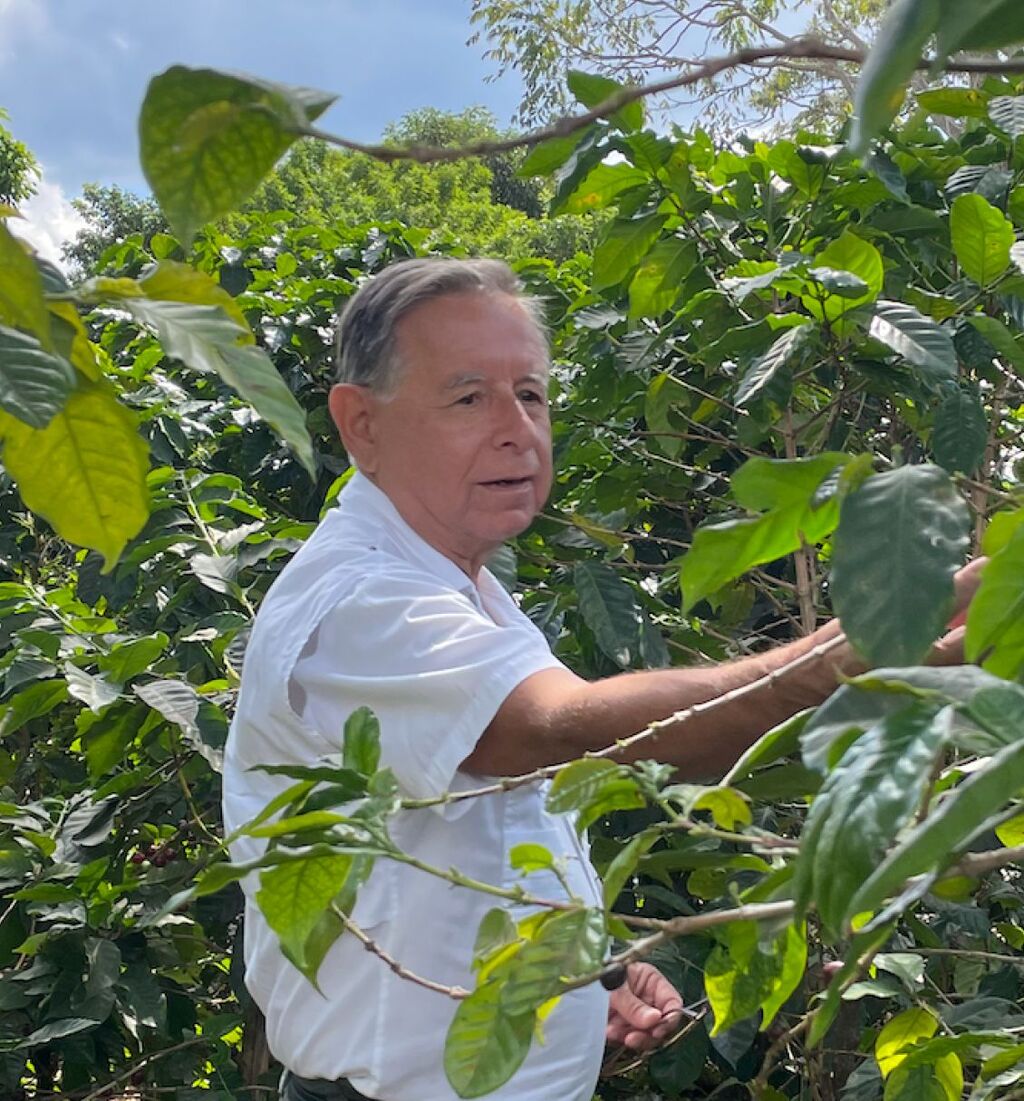 Miguel Angel Villavicencio, MAV COFFEE