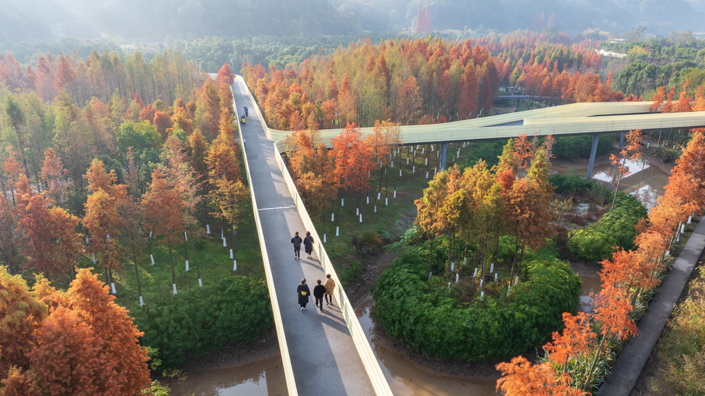 Landscape of the Year 2025