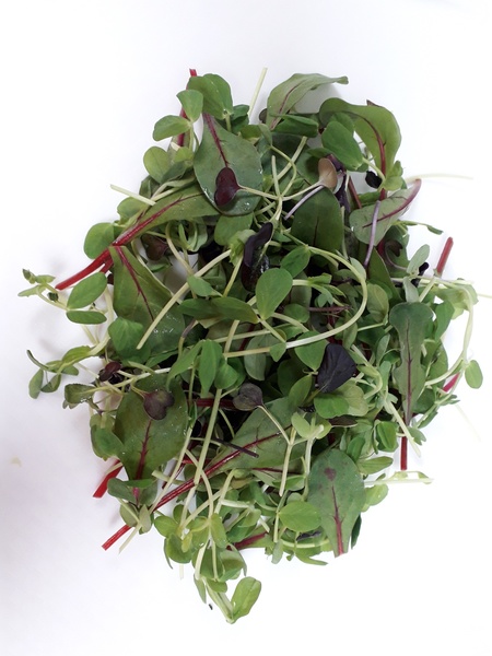 Asda Extra Special Pea Shoots, Red Chard, Red Pak Choi & Purple Radish Salad, PDM Produce UK