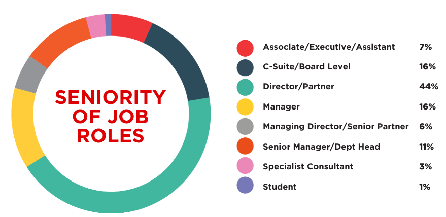 Job Seniority 2024