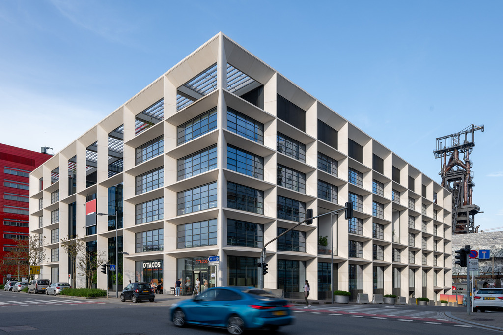 Natural Light Prize Winner 2024