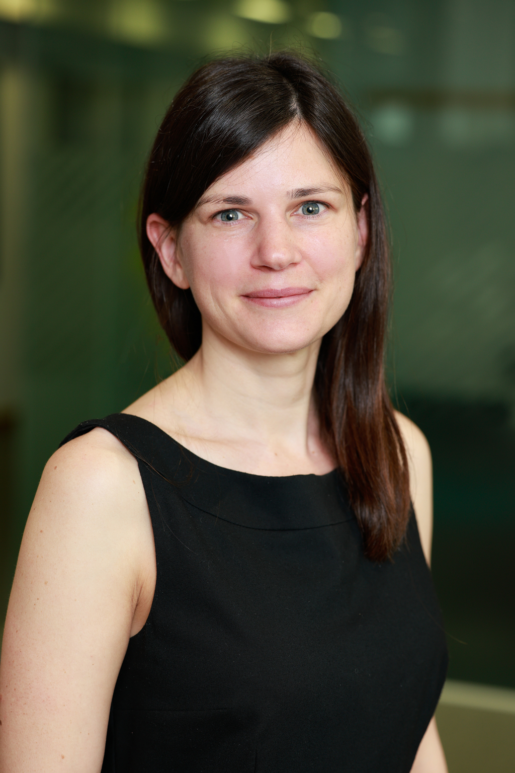 Sandra Bogelein, Climate Change Committee