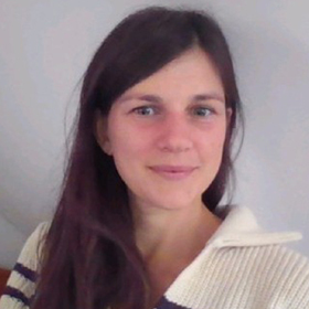 Sandra Bogelein, Climate Change Committee
