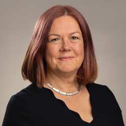 Carolyn Dwyer, Jersey Development Company, Connected Places Catapult, Institute of Couriers