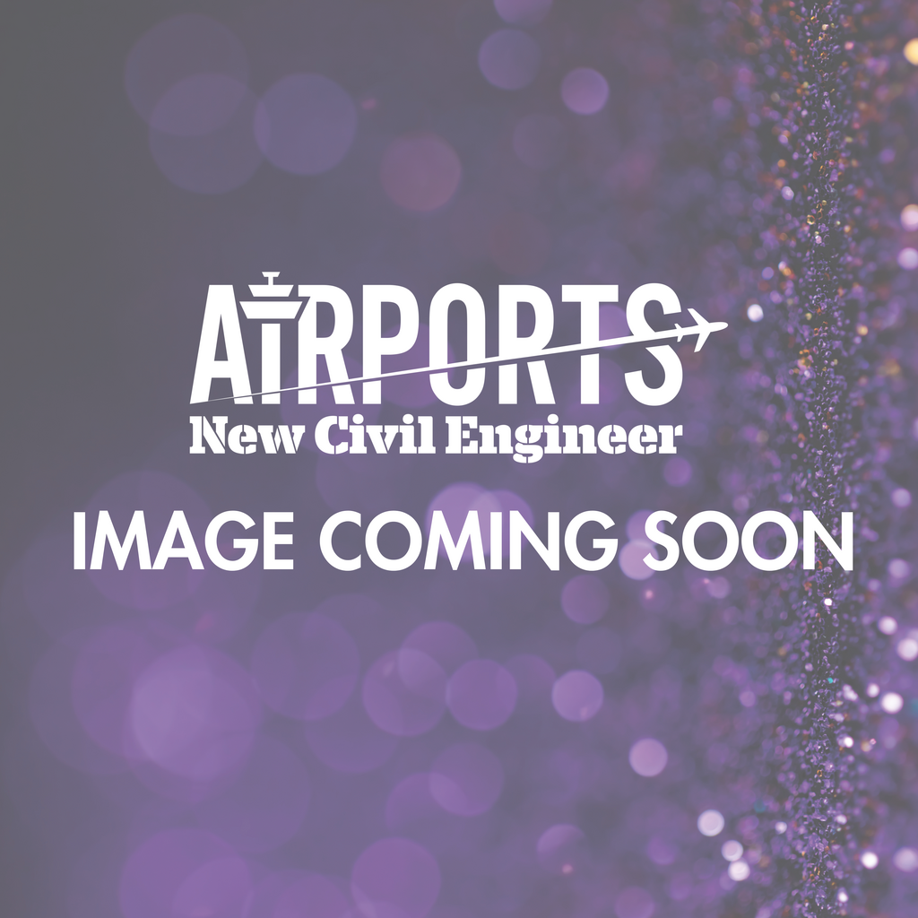 Bettina Rigg, British Aviation Group