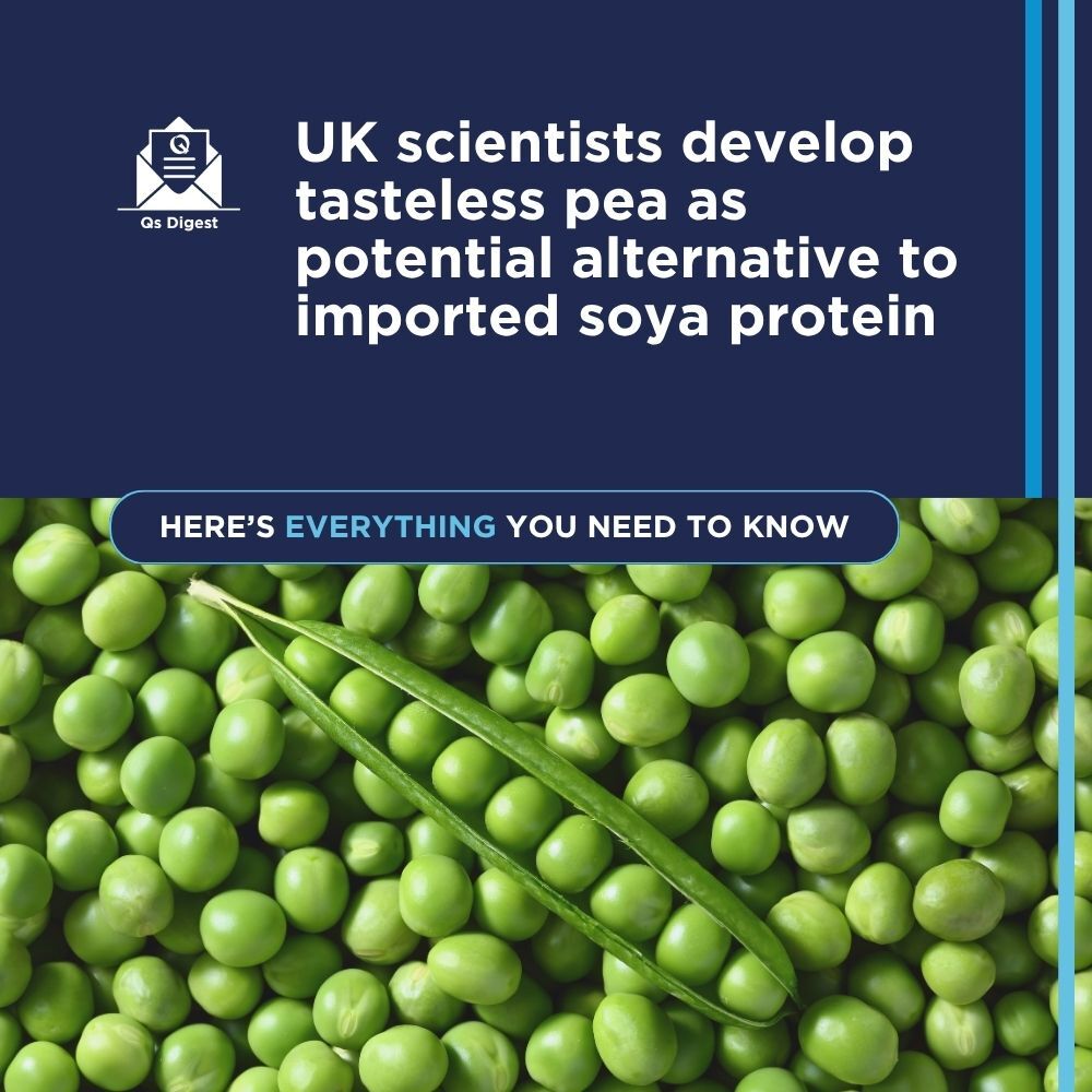UK scientists develop tasteless pea as potential alternative to imported soya protein
