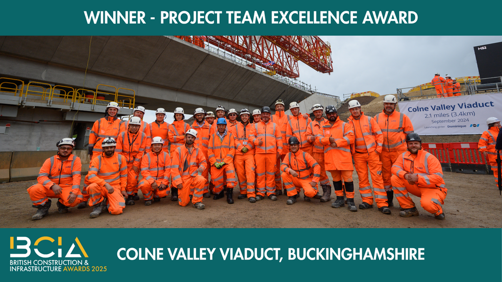 Project Team Excellence Awards shrt25 win25