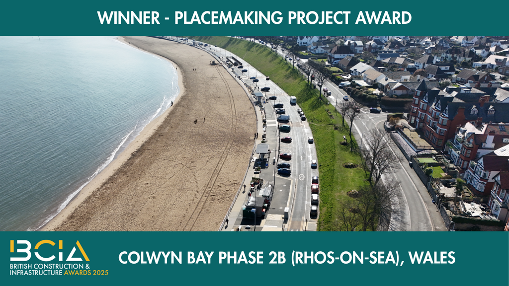Placemaking Project Award shrt25 Win25