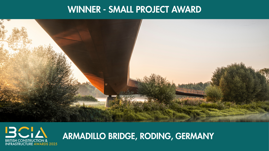 Small Project Award shrt25 win25