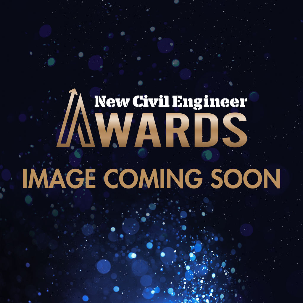 Peter Henry, Harworth Group