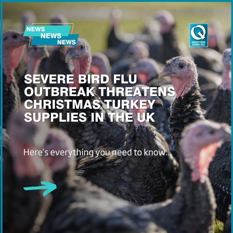 Severe bird flu outbreak threatens Christmas turkey supplies in the UK