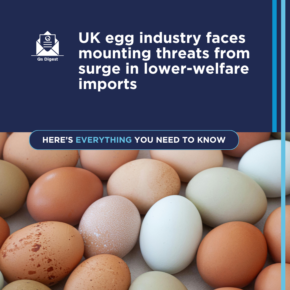 UK egg industry faces mounting threats from surge in lower-welfare imports