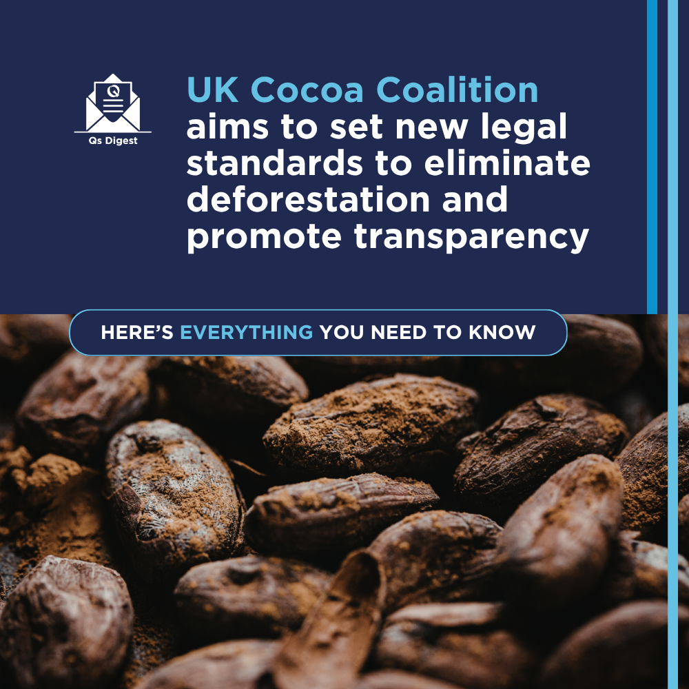 UK Cocoa Coalition aims to set new legal standards to eliminate deforestation and promote transparency