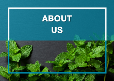 About Us
