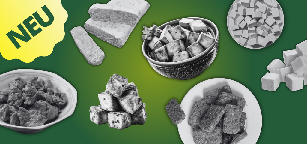 Pflanzliche Protein-Komponenten