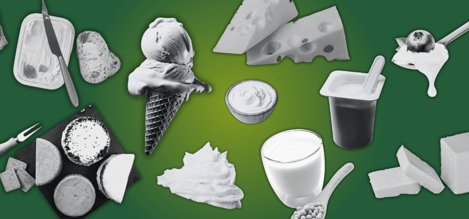 Pflanzliche Milch- & Molkerei-Alternativen
