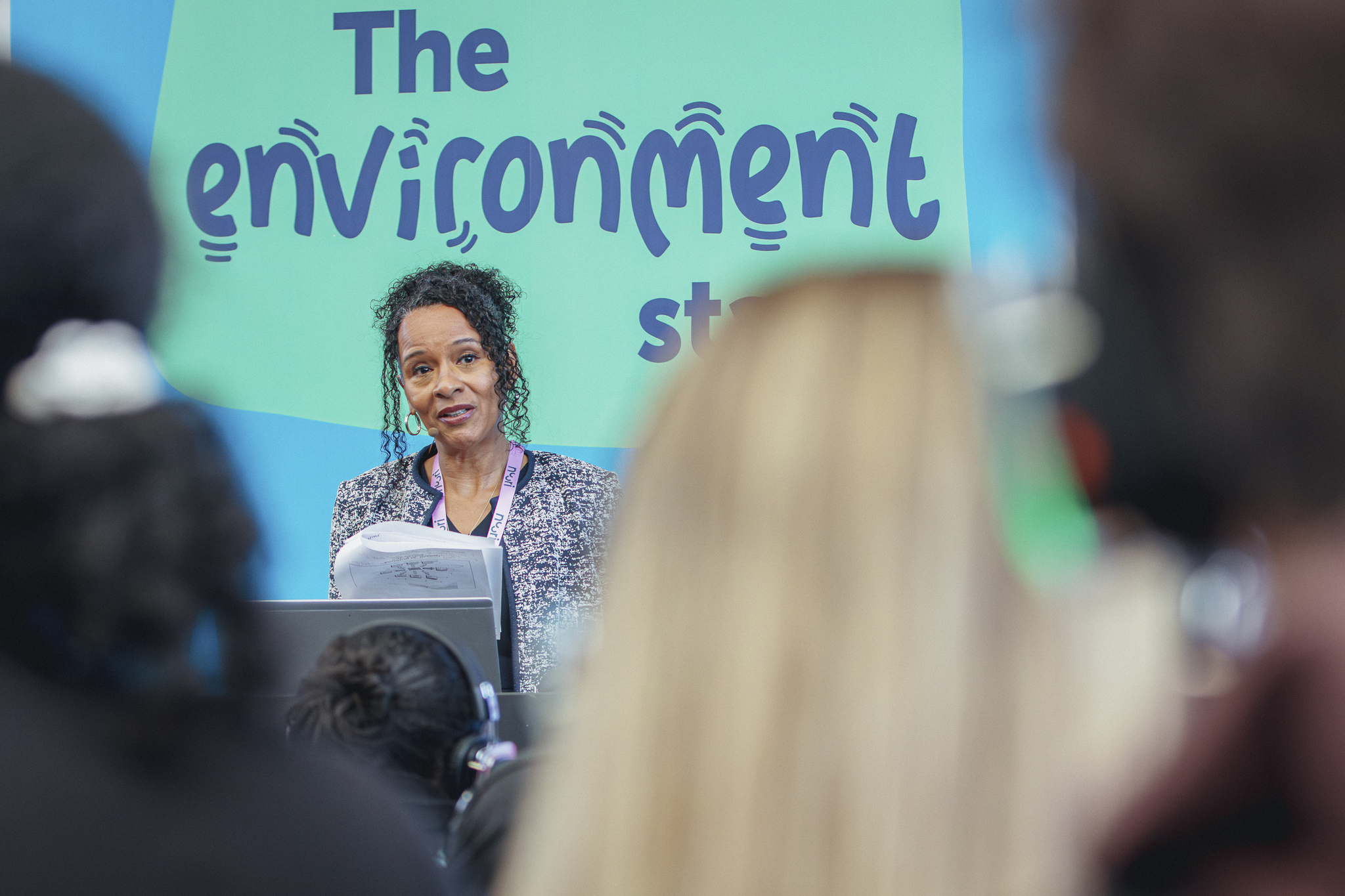 The Environment Stage