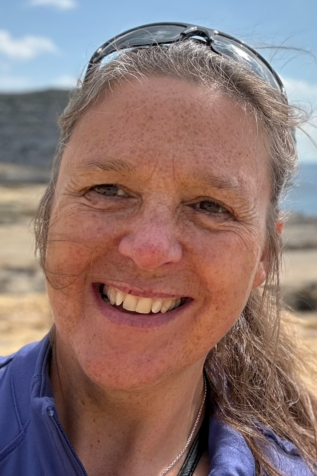 Rebecca Corneck QN, South East London Work Force Development Hub and The Lewisham Care Partnership