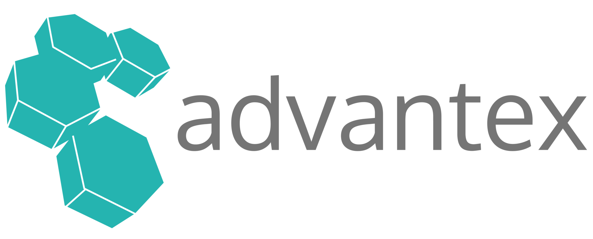 Advantex Network Solutions Limited