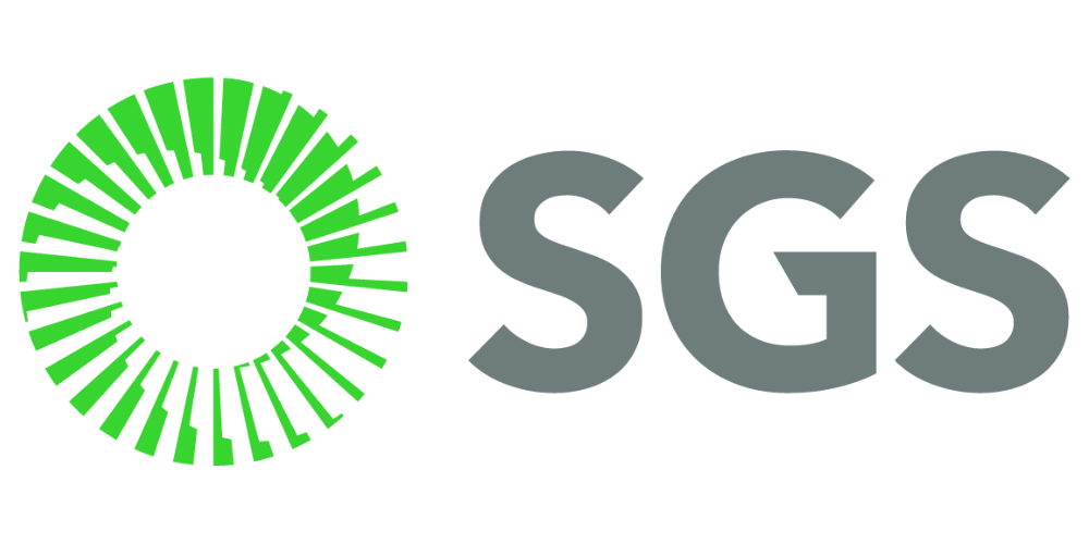 SAUDI GROUND SERVICES