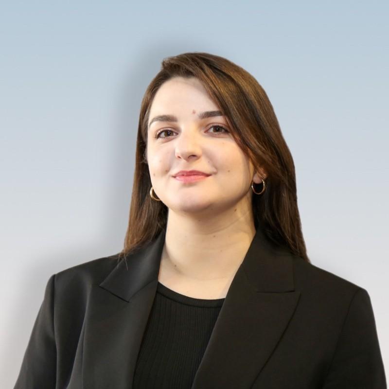 Anastasiia Smyk, INPUT SOFT