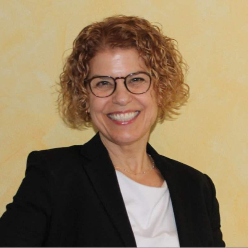 Uschi Schulte Sasse, USS AviationConsulting