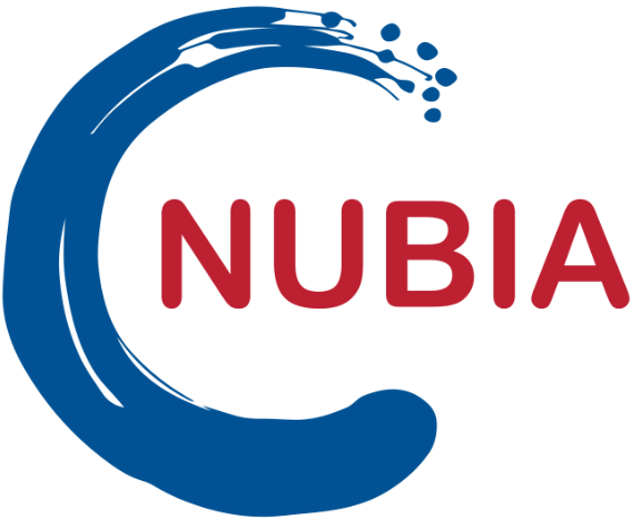 NEW ULAANBAATAR INTERNATIONAL AIRPORT LLC (NUBIA)