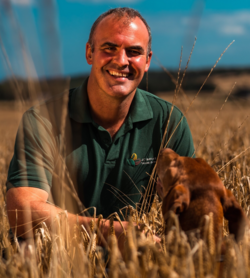 David Bell, AHDB Cereals & Oilseeds Sector Council