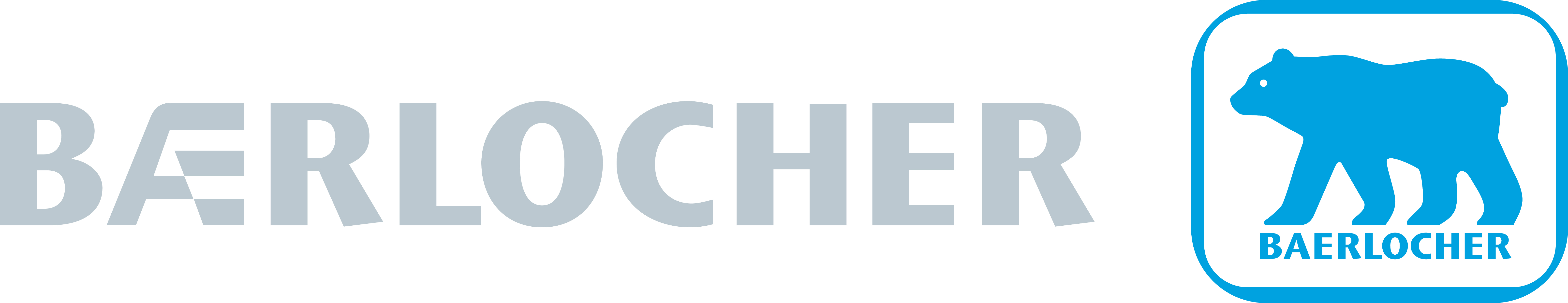 Baerlocher GmbH