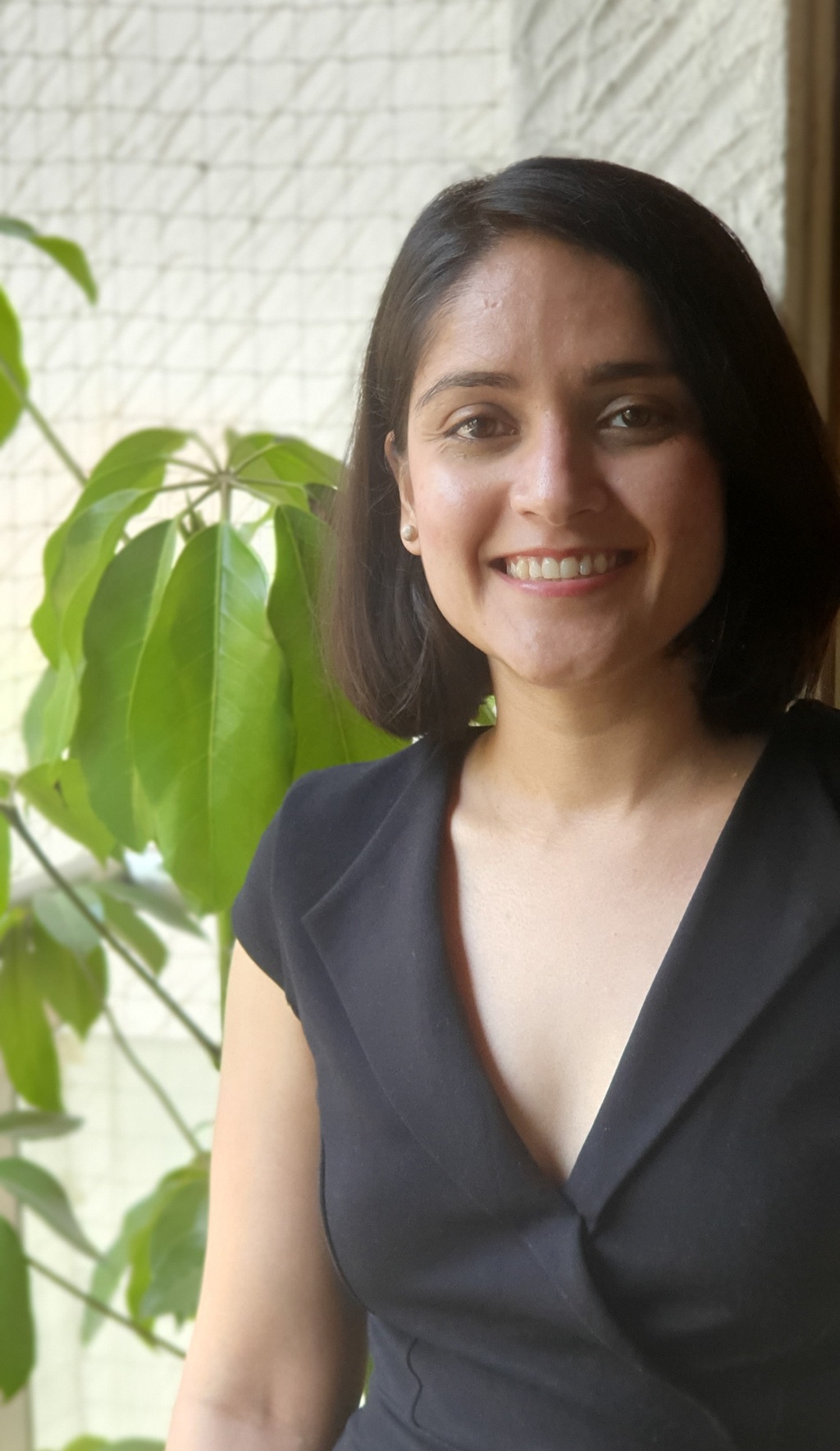 Pratibha Dewett, Lucro Plastecycle