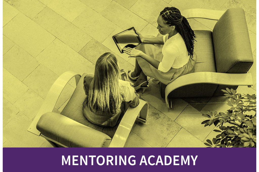 Fringe - MENTORING ACADEMY
