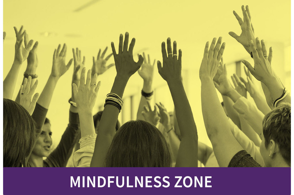 Fringe - MINDFULLNESS ZONE