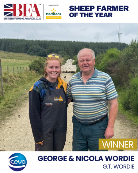 Sheep farmer of the year