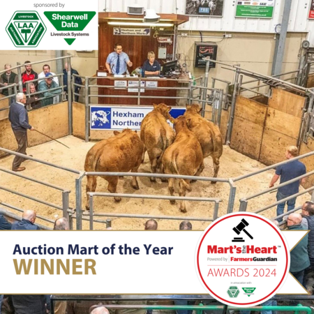 auction win