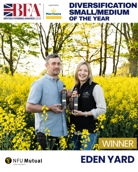 Diversification of the Year (Small to Medium)