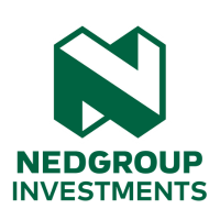 Nedgroup Investments
