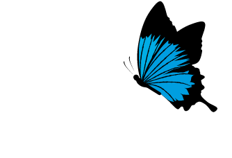 News Packaging logo