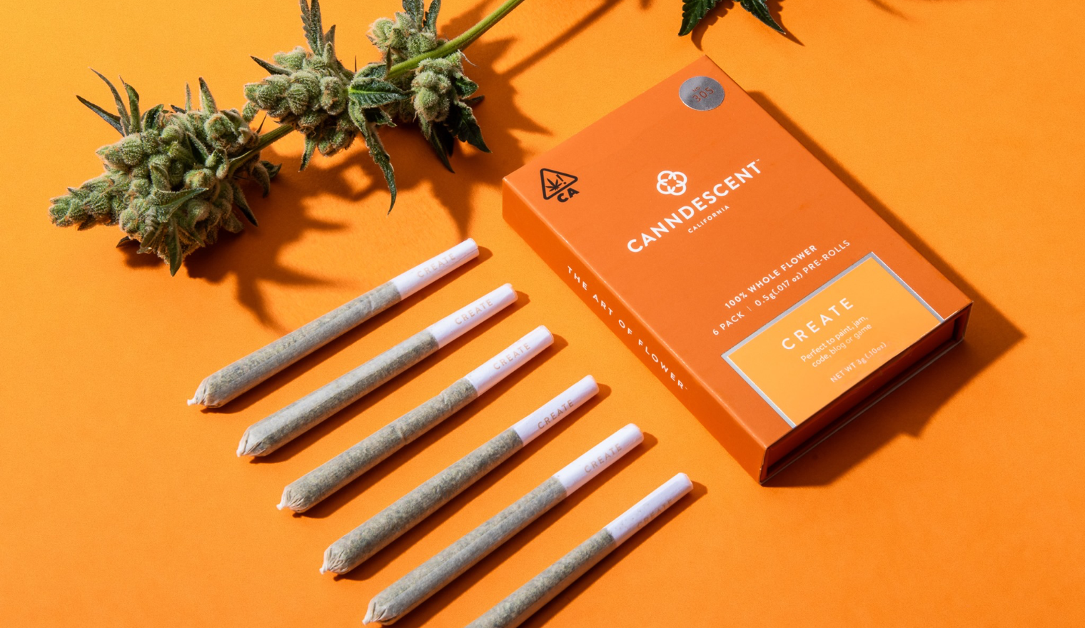 The Rise and Evolution of Cannabis Packaging