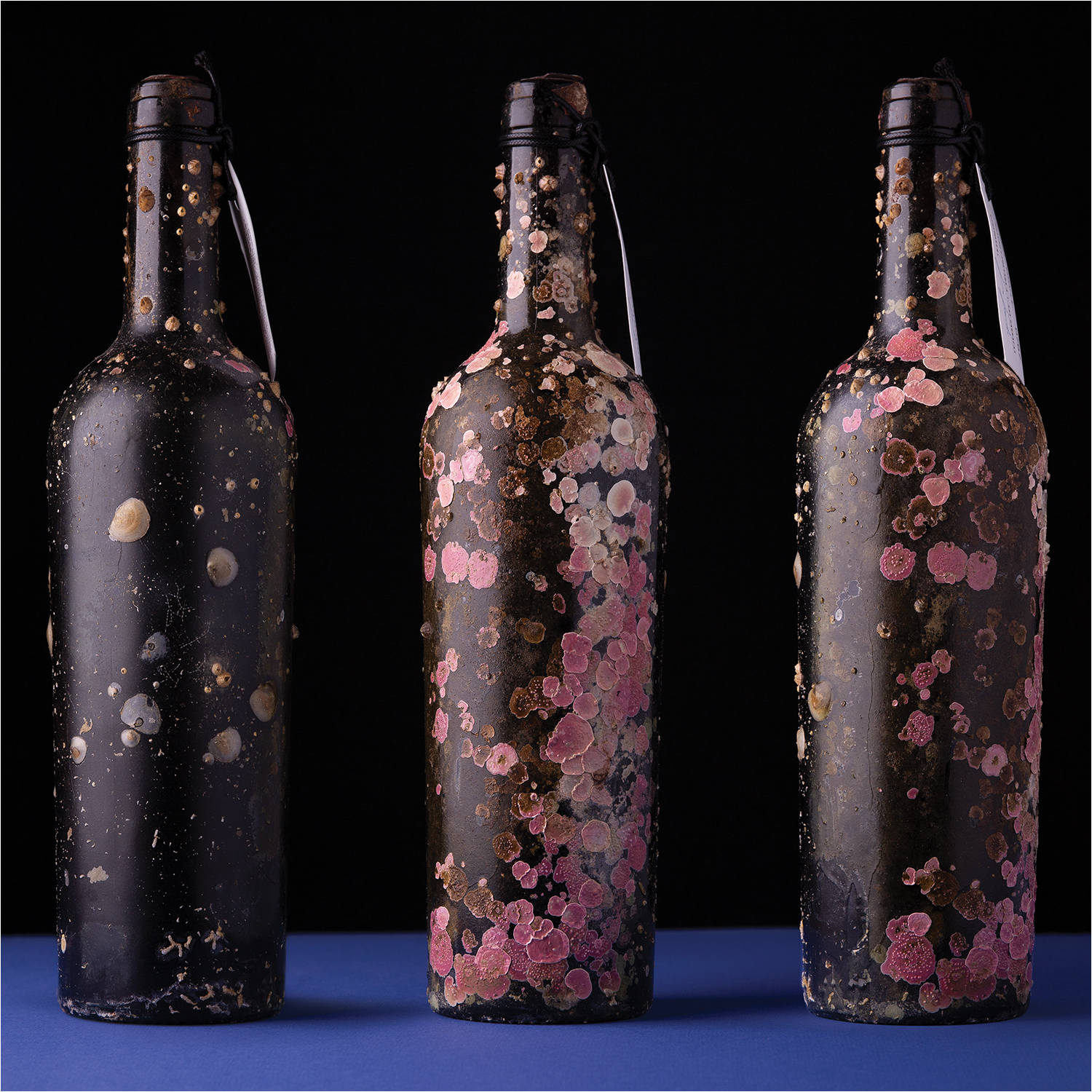 BEVERAGES PLATINUM, Vinho do Mar by Rita Rivotti, Portugal