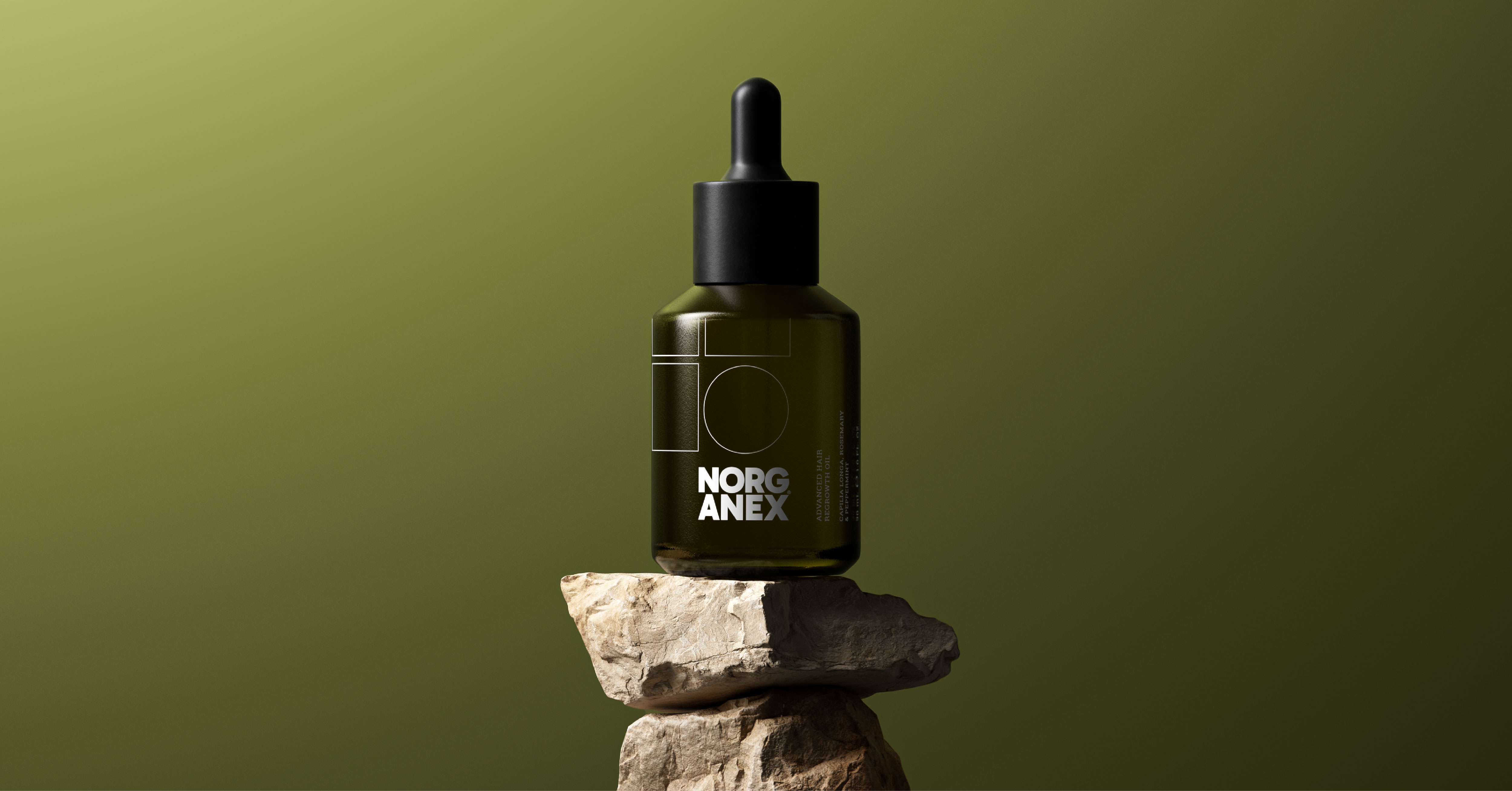 NORGANEX - From symbol to system.