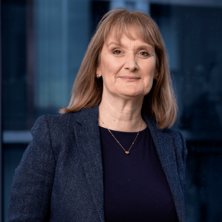 Lindsay Haselhurst, Currys PLC
